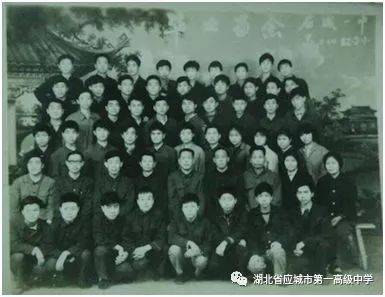 从稻谷到餐桌：探寻我国大米加工厂的发展与革新
