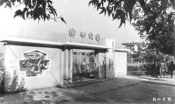 双鸭山的城市记忆!这些老照片里的场景,还记得吗……_手机搜狐网