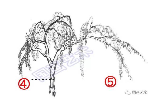 国画柳树的入门画法技法详解,柳树画法进阶教程