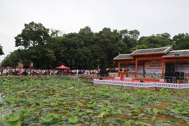 周末福安湾坞宝林村游客众多!什么活动在这举办?_手机搜狐网