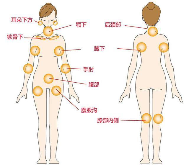 背部淋巴结分布位置图图片