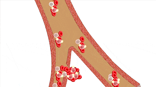 504_283gif 动态图 动图