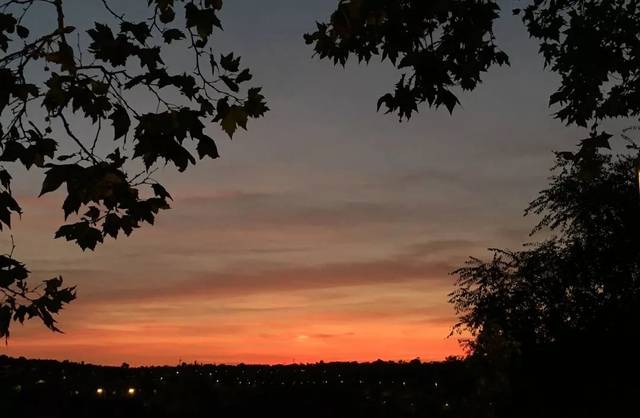 当然,很多人是想逃离这种丧气的生活, 毕竟学会让自己快乐,是我们与生