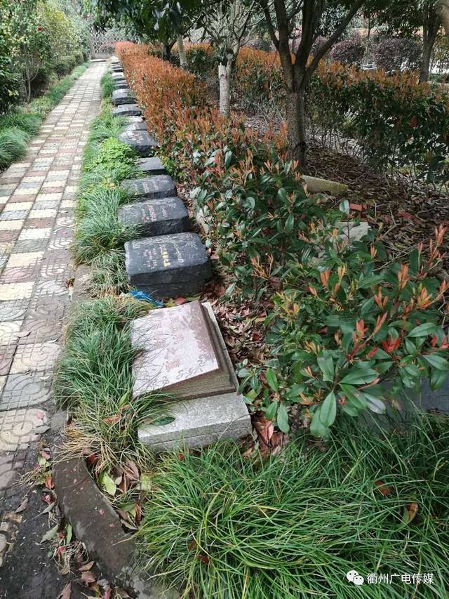 兰州墓地价格探析：未来趋势与应对策略
