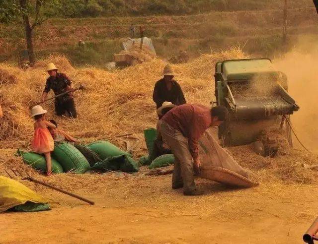 项城南顿孙店郑郭李寨官会这两天都在传这几张照片很多人都没见过