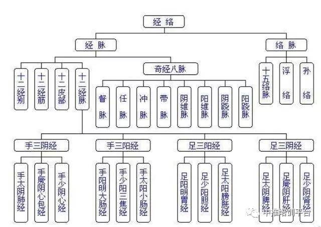 十二经筋必看(收藏版)_手机搜狐网