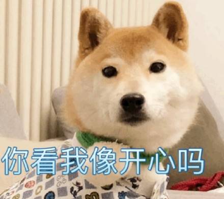你看我像开心吗