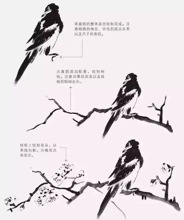 如何才能把鸟画好?_搜狐网