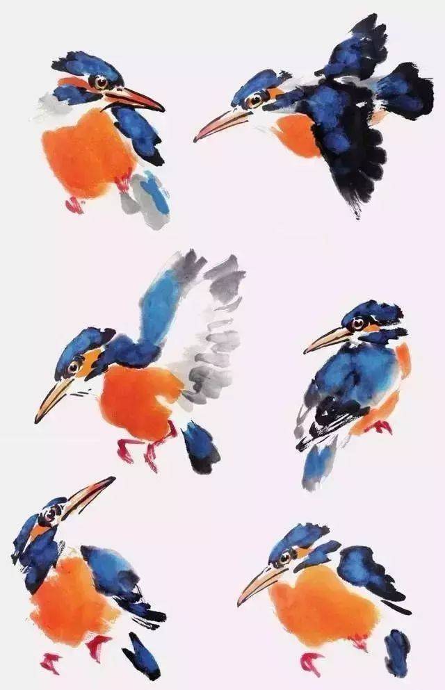 如何才能把鸟画好?_搜狐网
