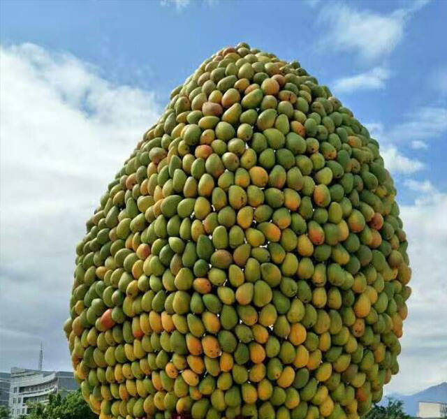 元江金芒果旅游文化节