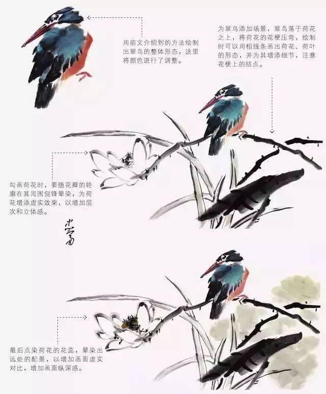 如何才能把鸟画好?_搜狐网