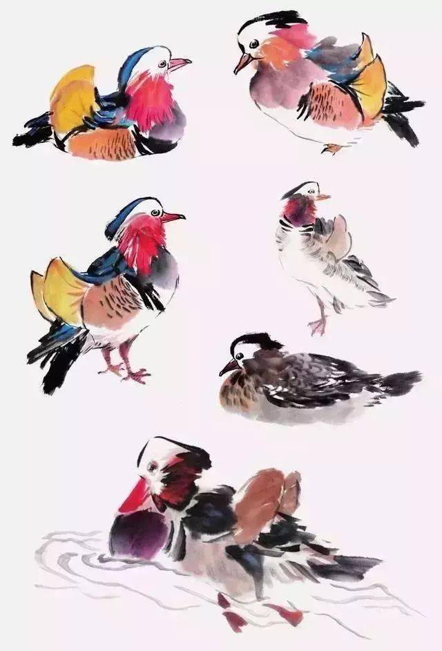 如何才能把鸟画好?_搜狐网