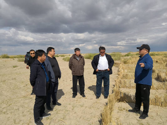 巴树桓一行深入新左旗吉布胡郎图苏木 调研呼伦湖生态综合治理工作