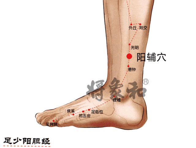 640_484gif 动态图 动图