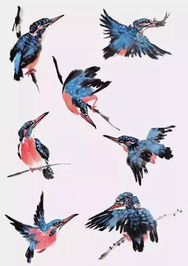 如何才能把鸟画好?_搜狐网