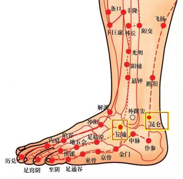 脚疼的各个部位详细图图片