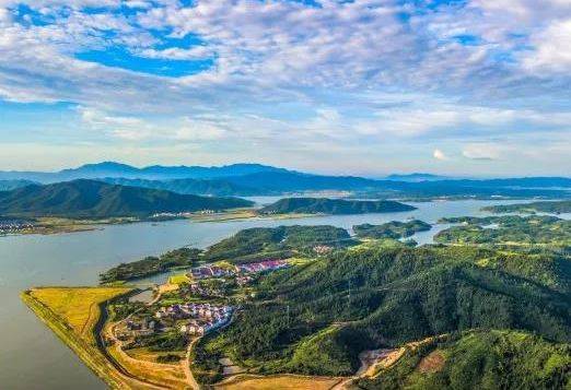 峡江好生态万千白鹭汇聚玉峡湖湿地公园