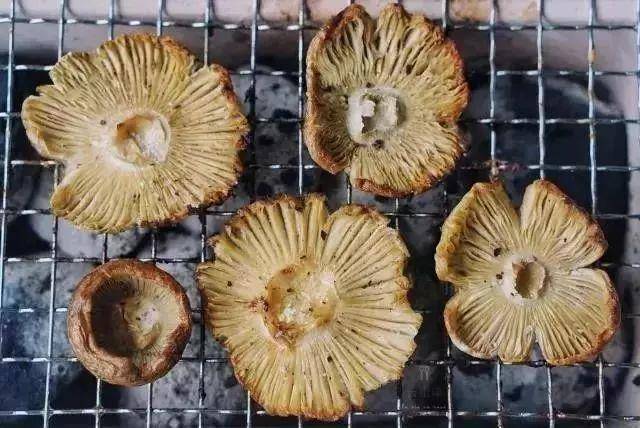 松茸做成刺身,蘸上海鲜酱油和芥末吃一口,菌子的香甜在口中四溢,好吃