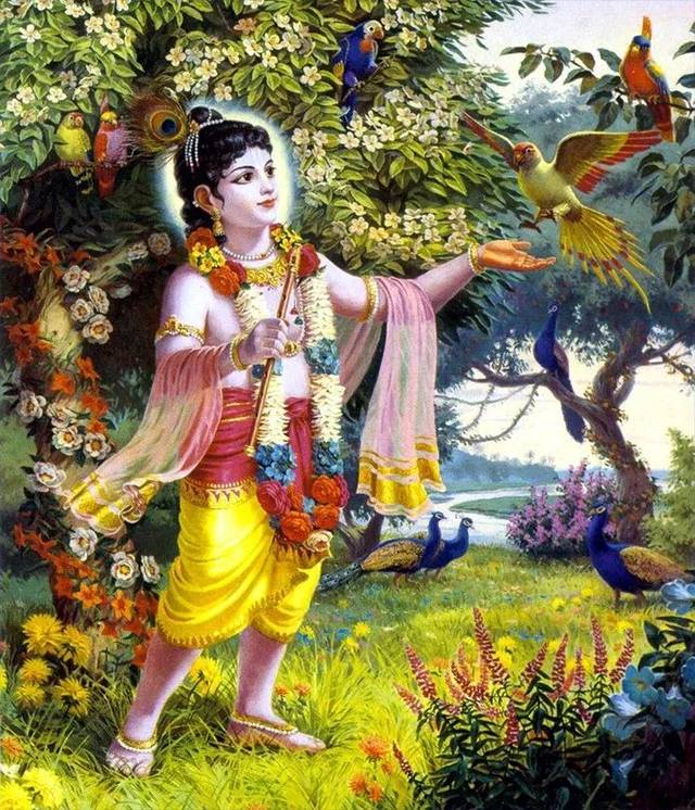 无限真心-vishnu(毗湿奴)