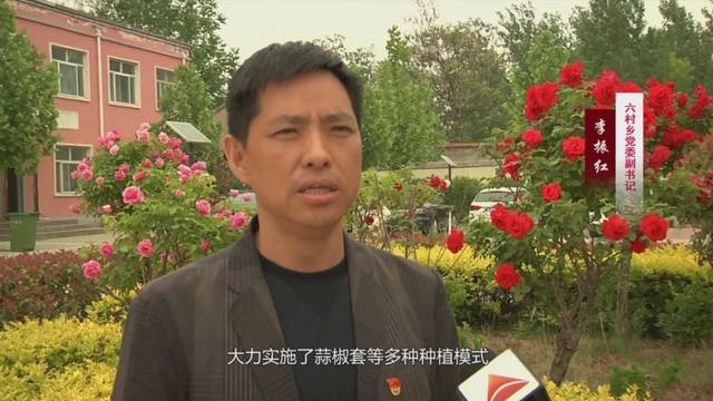 六村乡党委副书记李振红