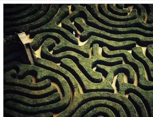 这些世界zui  大 zui  复杂  的迷宫!