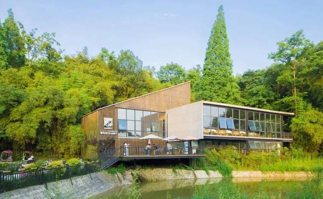 免费试睡丨探秘历时3年斥巨资打造的360°全景网红民宿,邂逅浪漫森林