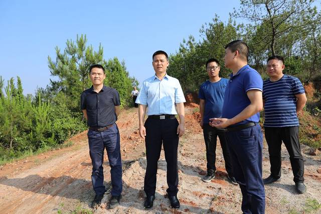 【工作日报】上饶县控违办每日快报(6月4日)