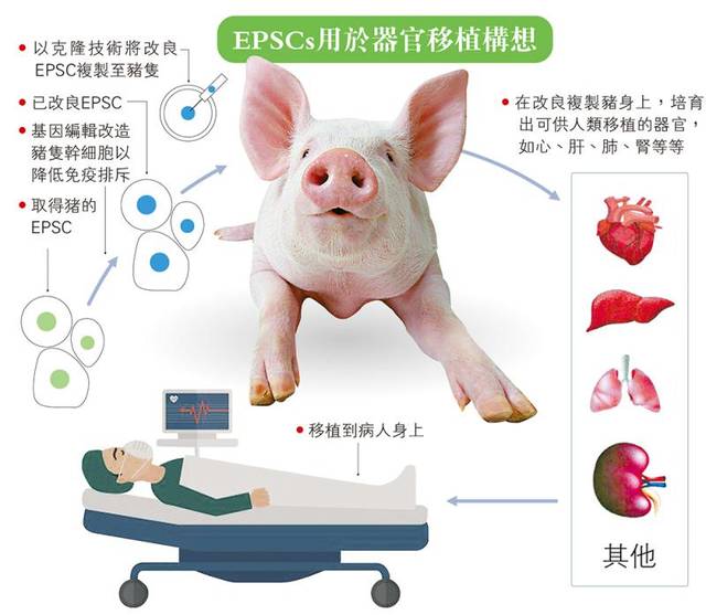 植物細胞学 猪野俊平著 植物細胞学 猪野俊平著