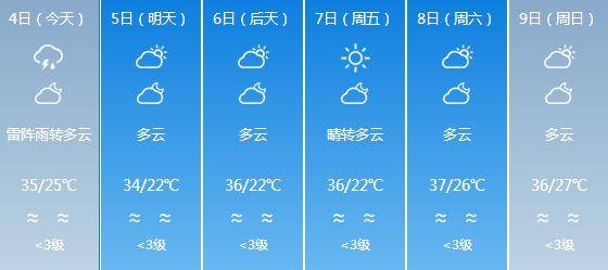白沙每日工作动态(2019年6月4日)