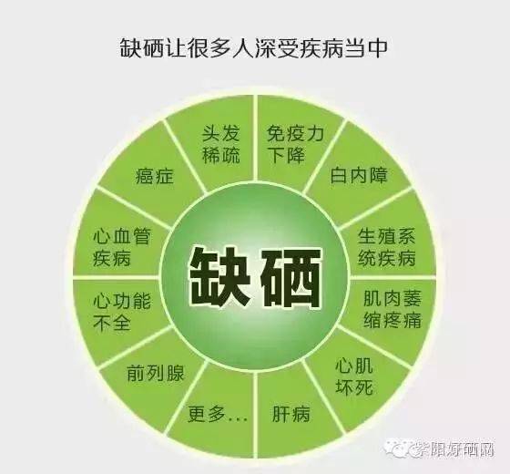 天然富硒茶,对人体健康有什么好处!