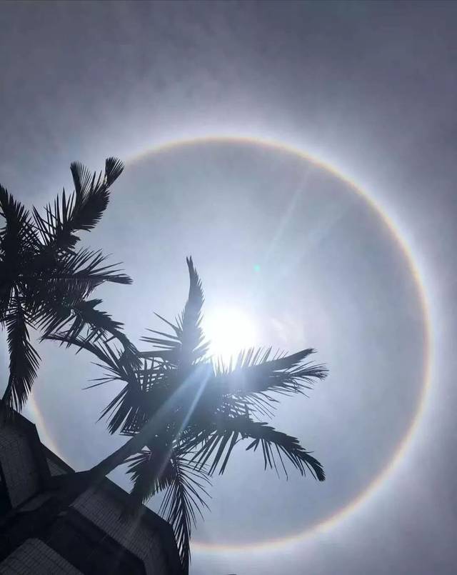 今天,云南盈江的"太阳打伞",你从未见过,已刷爆了朋友圈