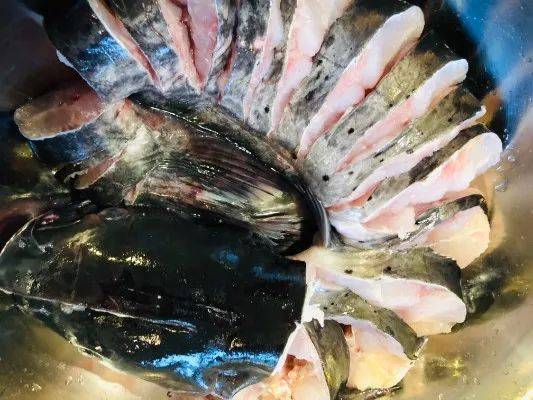 有机鮰鱼与有机黑鱼二选一