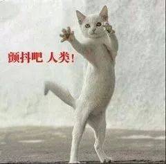 抖音短视频：代刷热度与市场现状