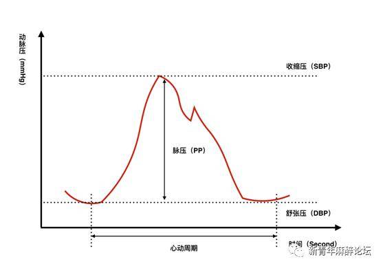 人体24小时血压曲线图图片