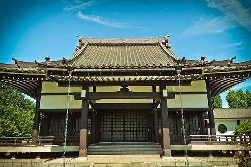 罕见!苏州一寺庙惊现"神兽",神奇一幕曝光