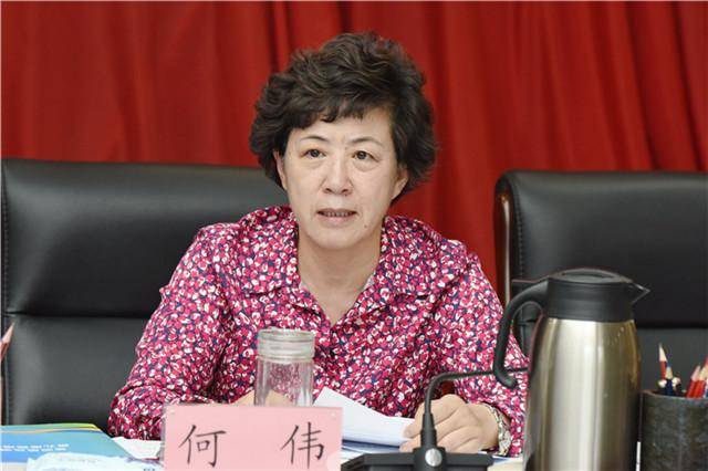 省委常委,常务副省长,执委会主任宋亮主持会议并讲话,副省长,执委会副