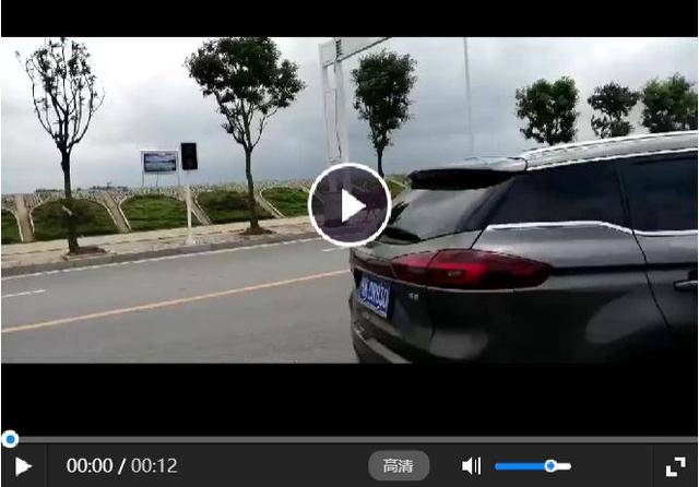 6月6日上午,孝昌县大悟河花园北大桥段河水暴涨,30多头正在放牧的耕牛