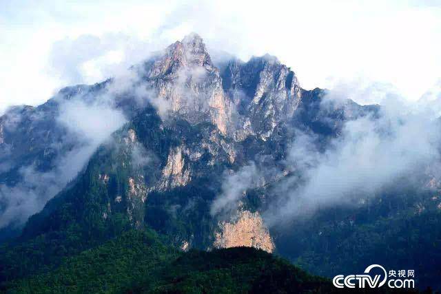【今日中国】采花 朝水 端午节还有哪些你不知道的风俗