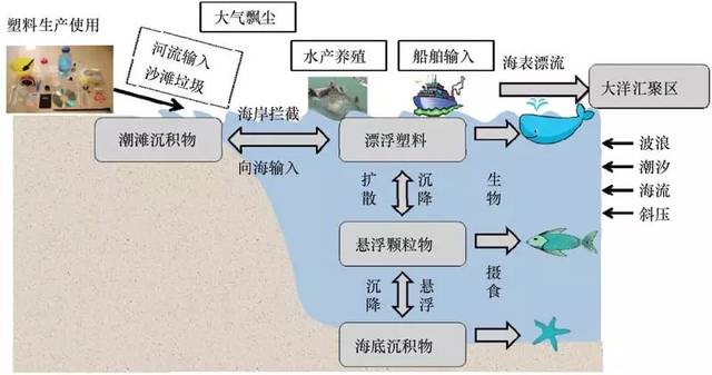 面对触目惊心的海洋微塑料污染我们在行动