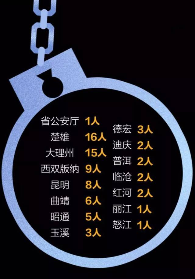 副局长,政委,大队长…云南5个月70多名公安被查,其中多人是"保护伞"!