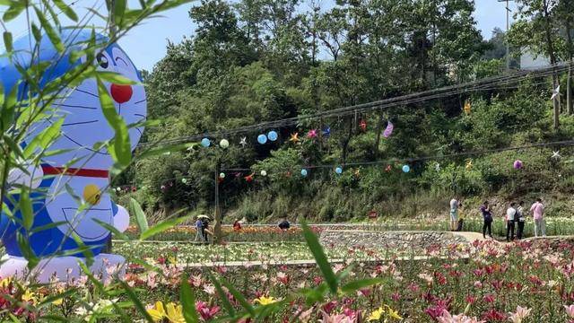 【相約石泉】端午佳節 饒峰驛站七彩花海迎客來