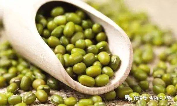 绿豆和它最合拍,是天然泻药,隔天排出黑臭宿