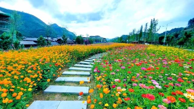 附近的花海景点免费图片