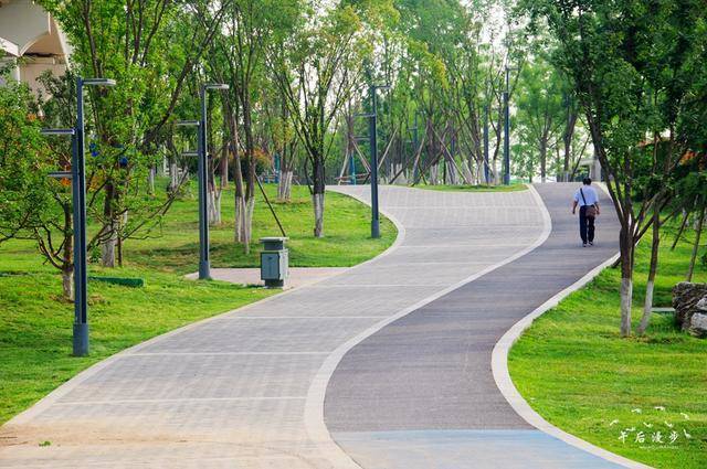 漫步灞河右岸生态区 河岸边的小花小草惹人醉_手机搜狐网