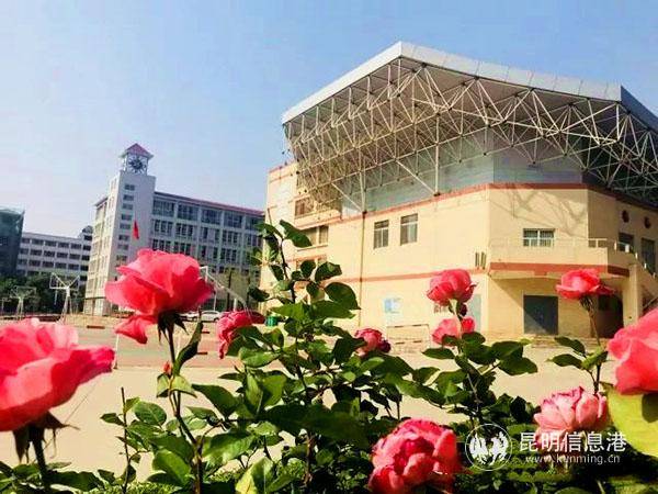 昆明市第十四中学被认定为云南省一级一等完高