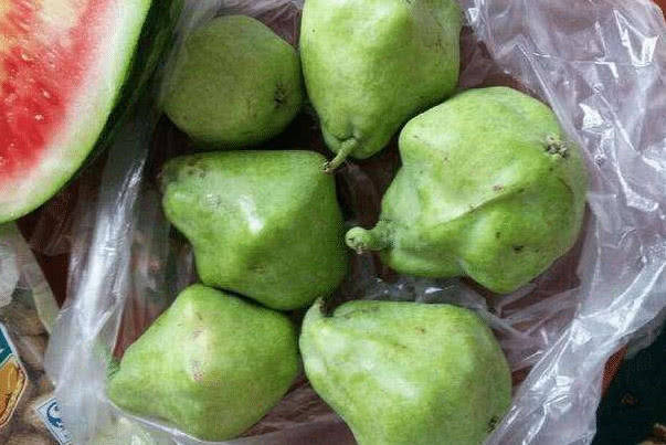 新疆最有特色的几种水果,只有全吃过的,才算是真正的新疆本地人_手机
