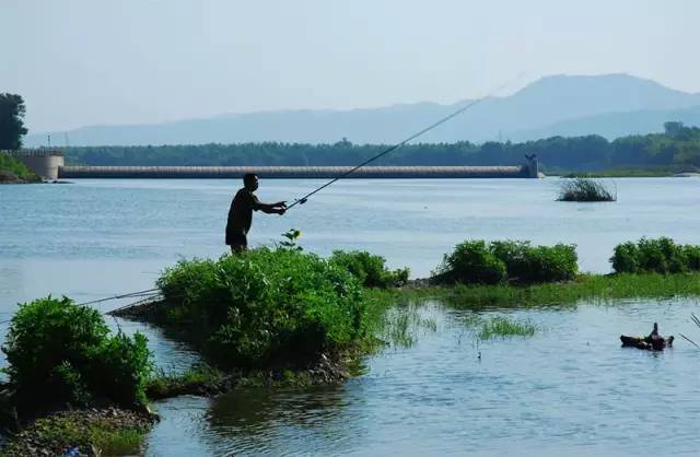 避免钓鱼找底7个误区,过来看看