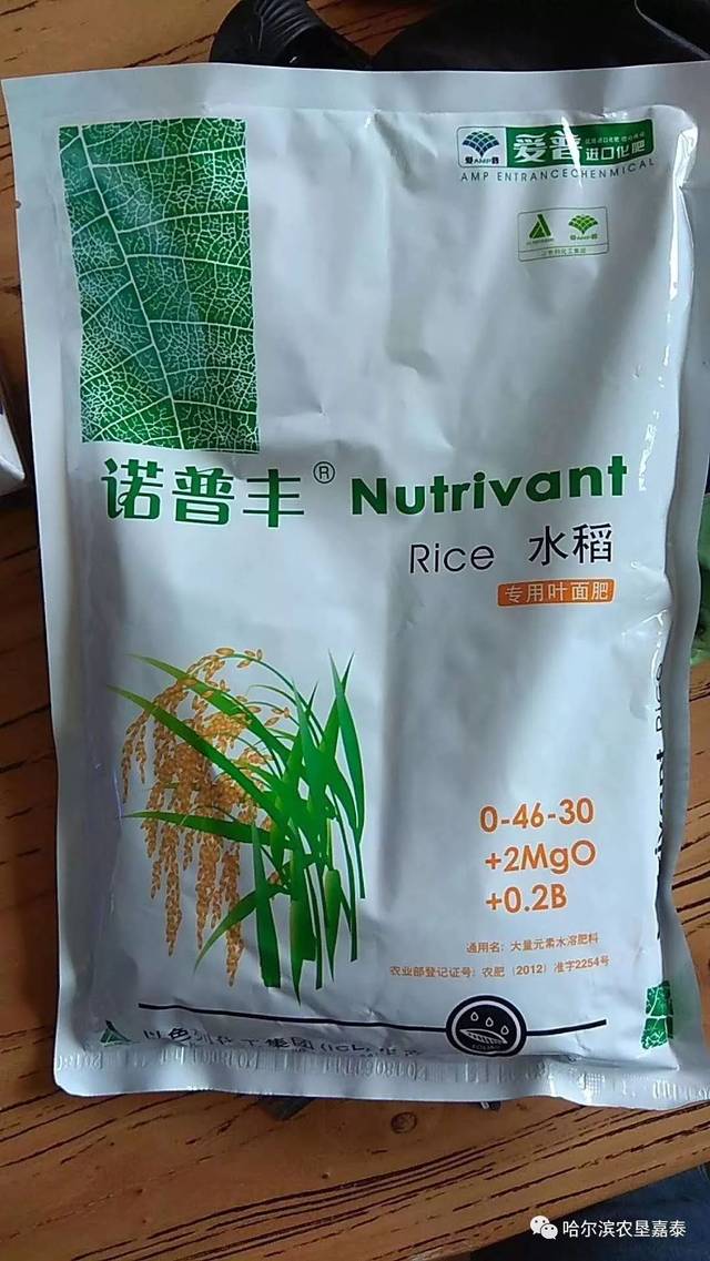 【诺普丰】水稻专用叶面肥为什么这么火爆?速看
