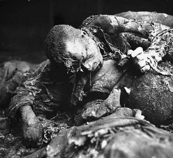 中越战争死亡图片图片