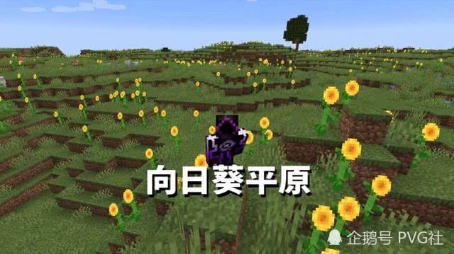 我的世界70个生态域中哪些最罕见 除了蘑菇岛 新地形概率也低 手机搜狐网